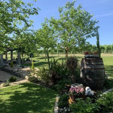 Modern In With Swimming Pool Villa Segonzac (Charente)