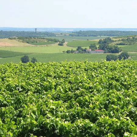 Modern In With Swimming Pool * Segonzac (Charente)